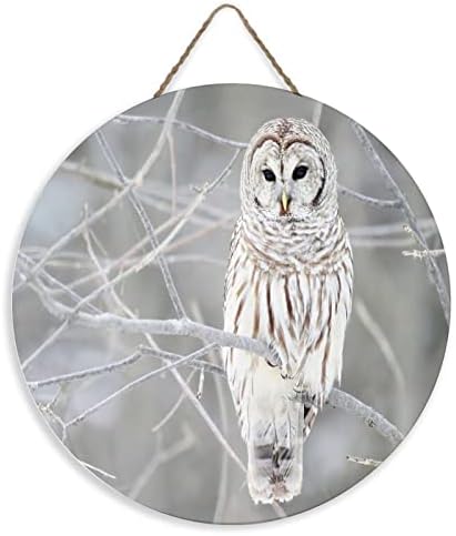 Perete vintage decorative rotunde din lemn Semne gri Owl pe copac, drăguță, perete artă din lemn Semn de placă de 12x12 inci