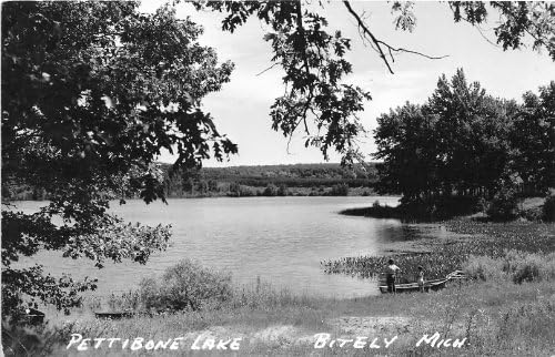 Bitely, Michigan Postcard Fotografie reală