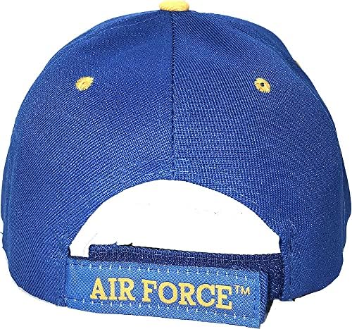 Pălărie de capac al baseball -ului veteran al Forțelor Aeriene din Statele Unite ale Americii