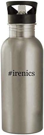 Cadouri Knick Knack irenic - Sticlă de apă din oțel inoxidabil 20oz, argint