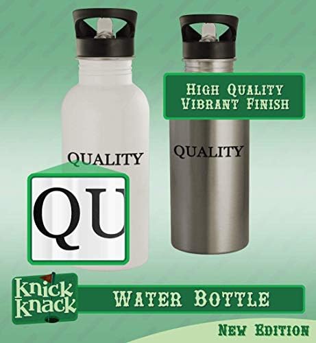 Cadouri Knick Knack Creatin - Sticlă de apă din oțel inoxidabil 20oz, argint