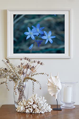 Fotografie de artă albastră de flori sălbatice